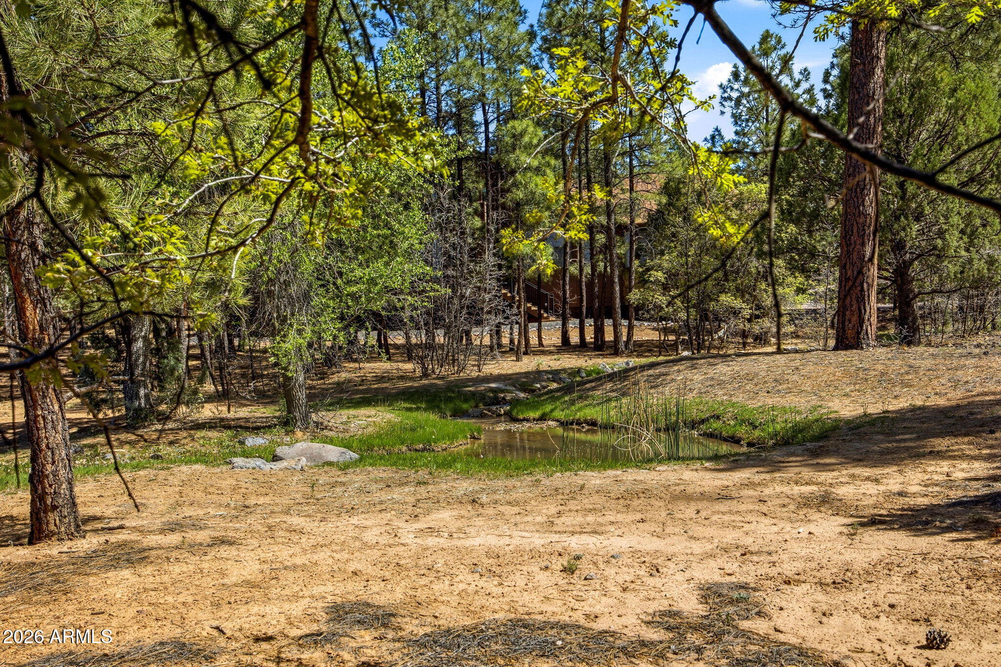481 South Paintbrush Road Show Low, AZ 85901 - Photo 35 of 44 481SPaintbrushRd-ShowLow-AZ-35