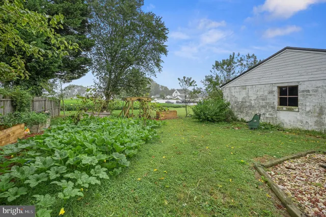 a view of a backyard with potted plants and large tree