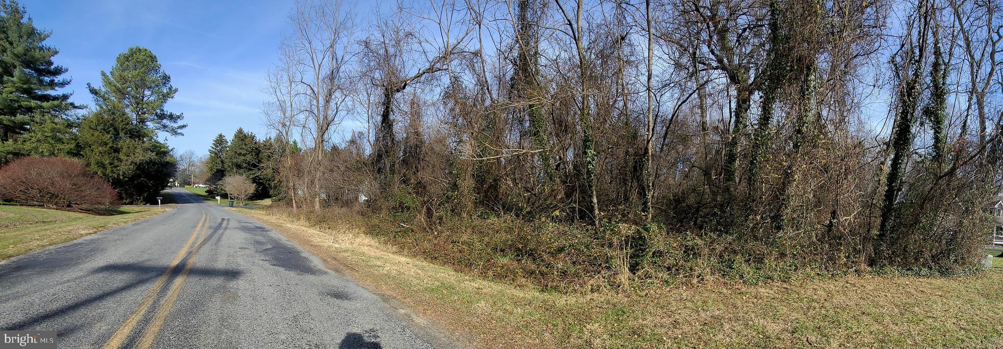 32072 Shorewood Road Galena, MD 21635 - Photo 11 of 12 a view of a backyard of the house