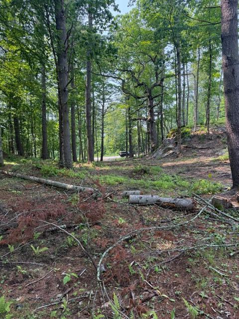 Tbd Buzzell Road Biddeford, ME 04005 - Photo 1 of 1 Buzzell Road