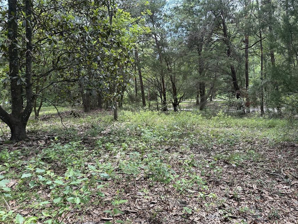 367 Kinard Road Fort White, FL 32038 - Photo 14 of 17 Gallery Image 14