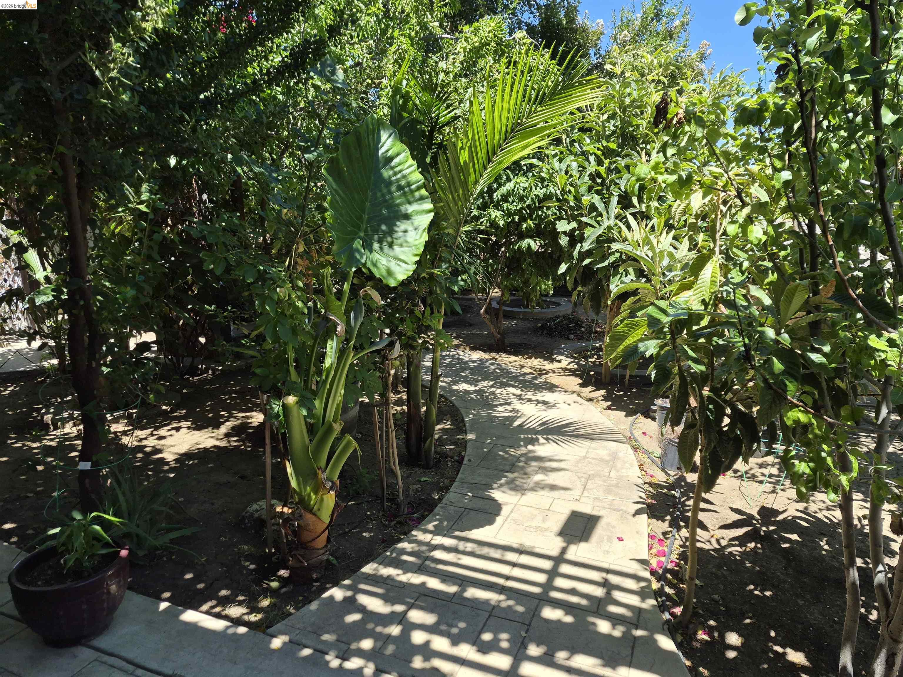 149 Oakpoint Court Bay Point, CA 94565 - Photo 18 of 22 Curved paver pathway through extensive, mature landscaping