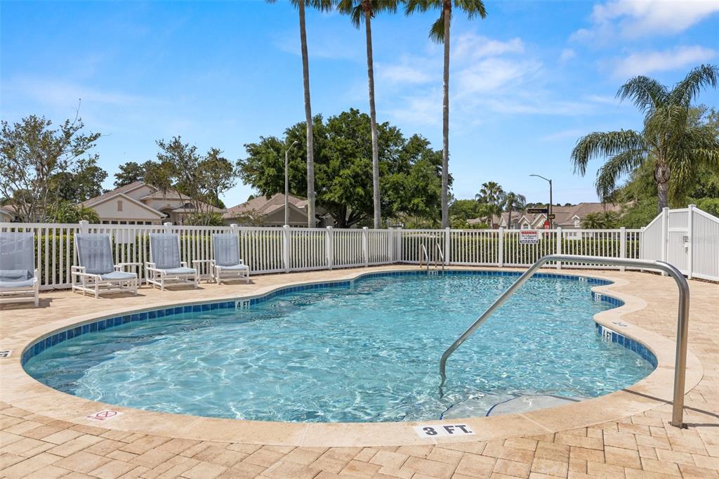 23730 Coral Ridge Lane Land O' Lakes, FL 34639 - Photo 36 of 57