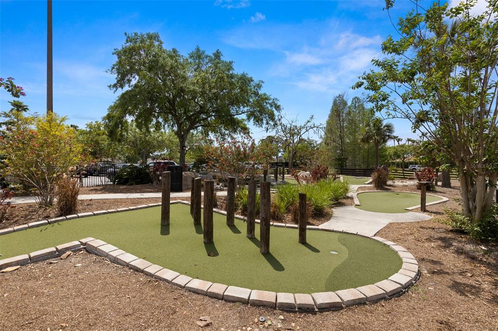 23730 Coral Ridge Lane Land O' Lakes, FL 34639 - Photo 38 of 57