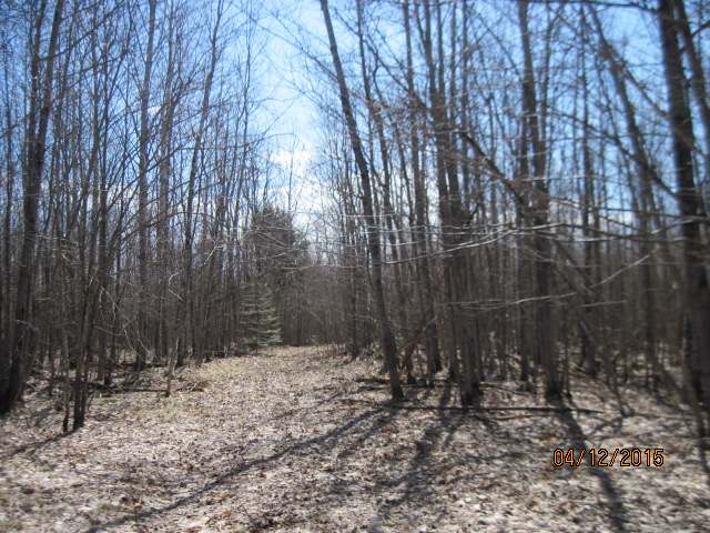 On Orchard Road Butternut, WI 54514 - Photo 2 of 20 Gallery Image 2