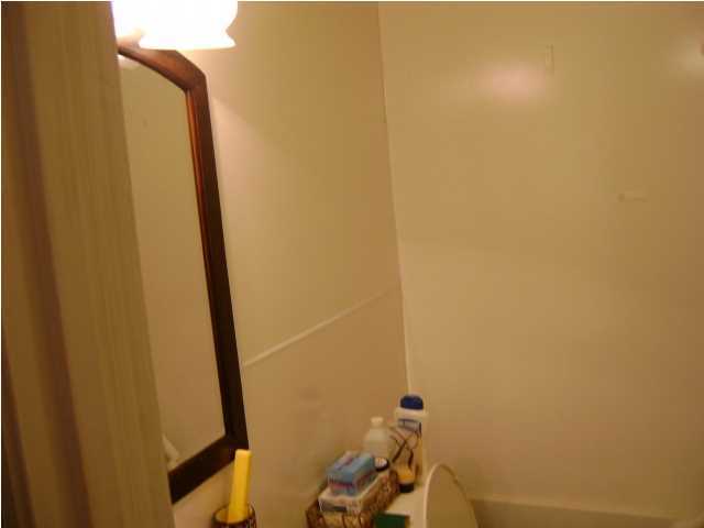 3366 Mt Nebo Road Islandton, SC 29929 - Photo 4 of 21 Additional Photo