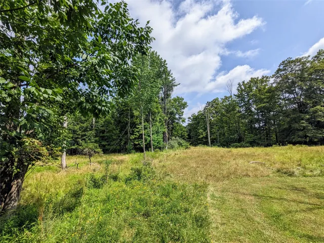 a view of a yard with a tree