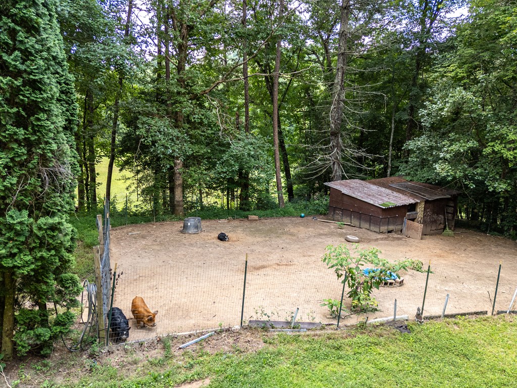 860 Holly Road Murphy, NC 28906 - Photo 51 of 62
