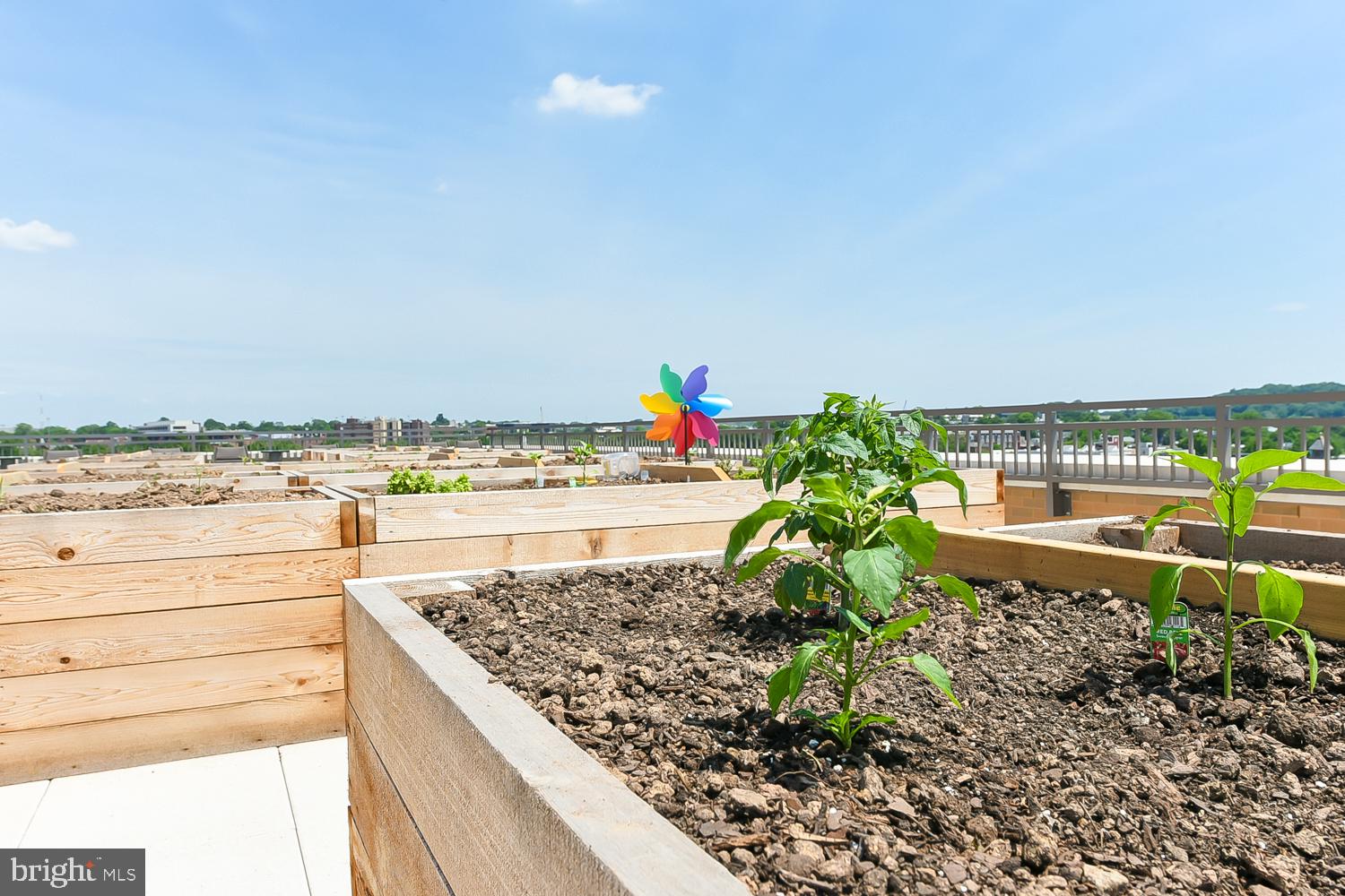 901 H Street Northeast, Unit AT D Washington, DC 20002 - Photo 52 of 82