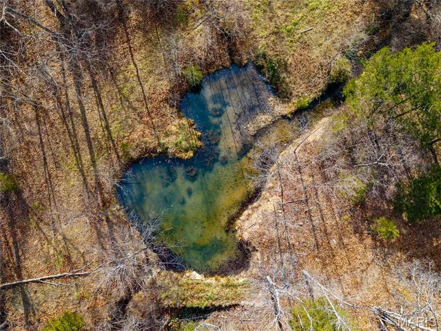 $280,000 | 7828 St George Road, Hartville, MO 65667