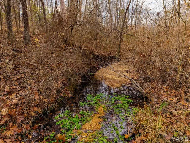 $280,000 | 7828 St George Road, Hartville, MO 65667