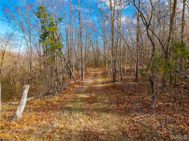 $280,000 | 7828 St George Road, Hartville, MO 65667