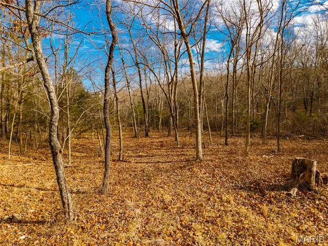 $280,000 | 7828 St George Road, Hartville, MO 65667