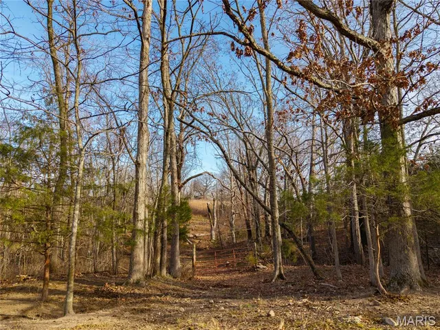 $280,000 | 7828 St George Road, Hartville, MO 65667