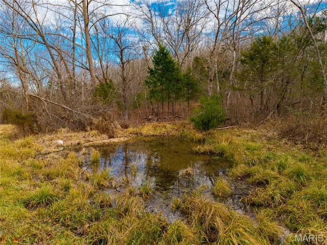 $280,000 | 7828 St George Road, Hartville, MO 65667