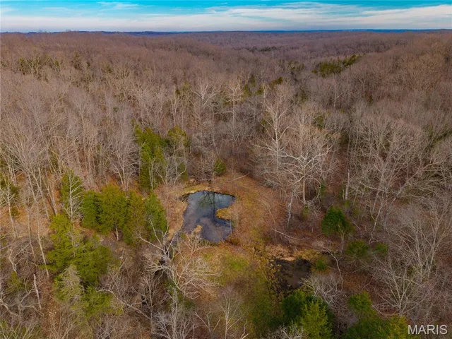 $280,000 | 7828 St George Road, Hartville, MO 65667