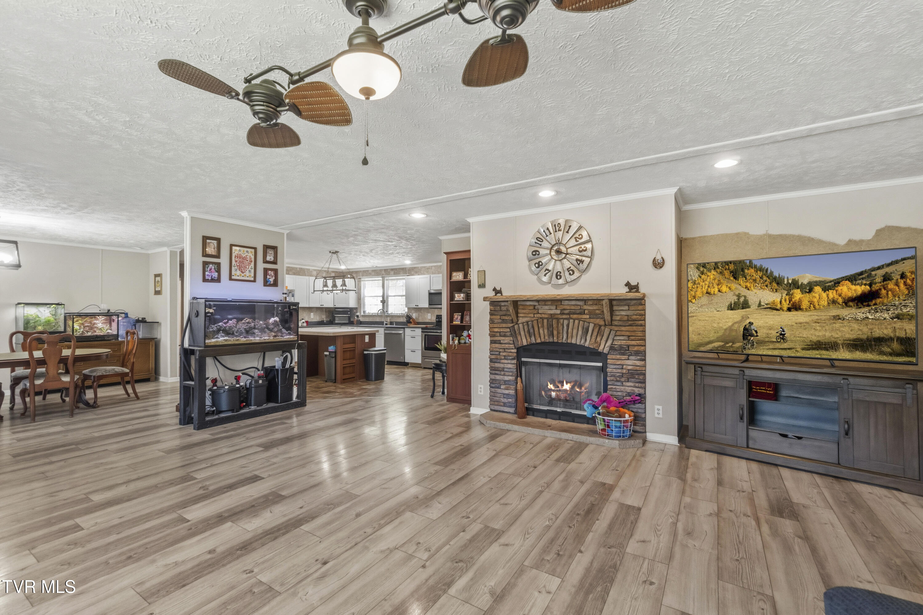 245 McCamey Road Mosheim, TN 37818 - Photo 4 of 33 2
