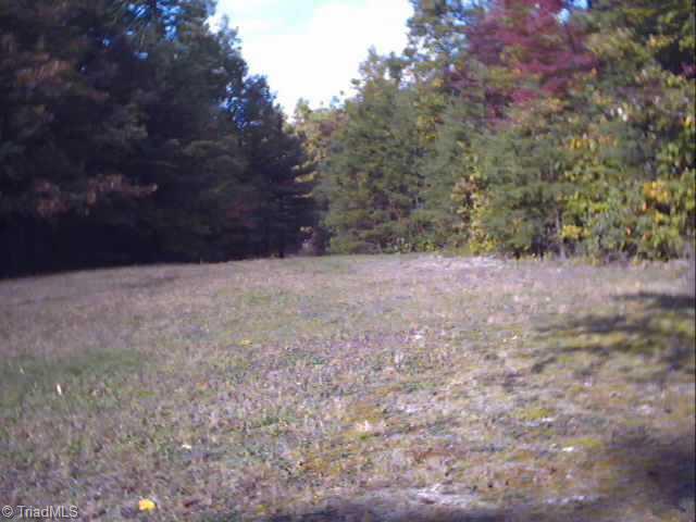 1130 Tomahawk Road Westfield, NC 27053 - Photo 4 of 5 Other.