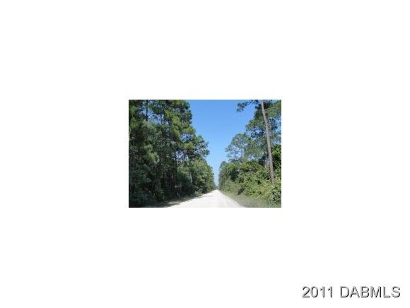 4160 Quail Ranch Road New Smyrna Beach, FL 32168 - Photo 2 of 3 Additional Photo