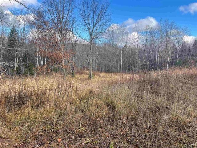 111 Upper Mattson Road Wakefield, MI 49968 - Photo 24 of 25 Gallery Image 24
