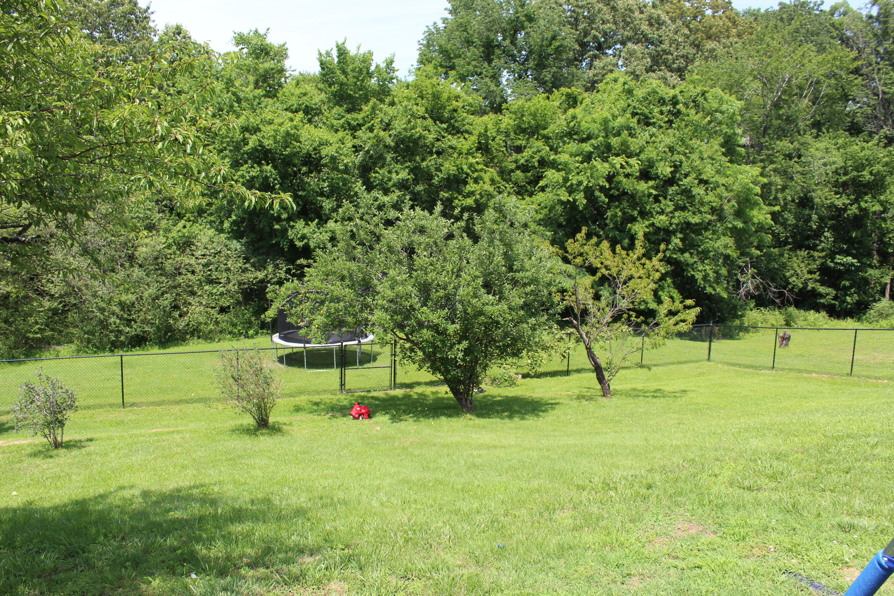 1131 Bleich Road Paducah, KY 42003 - Photo 27 of 34 IMG_8851