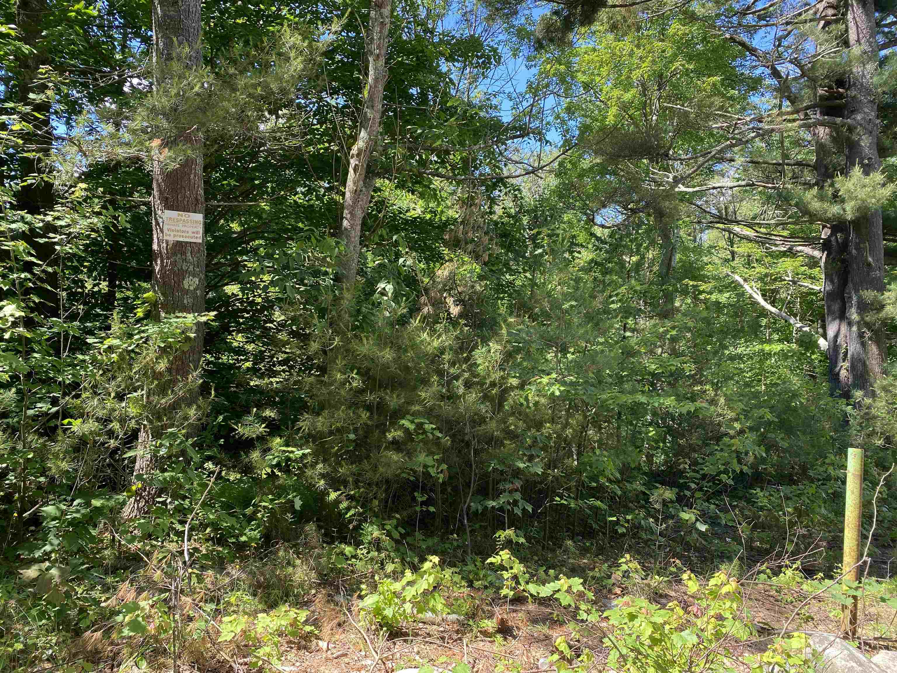 18 Catamount Road Pittsfield, NH 03263 - Photo 16 of 31