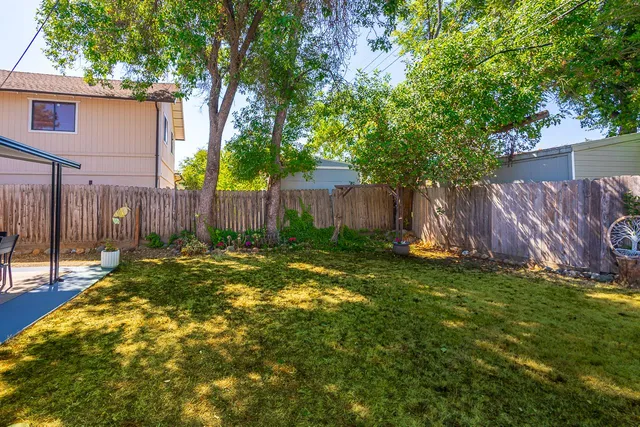 a view of a backyard with large trees and wooden fence