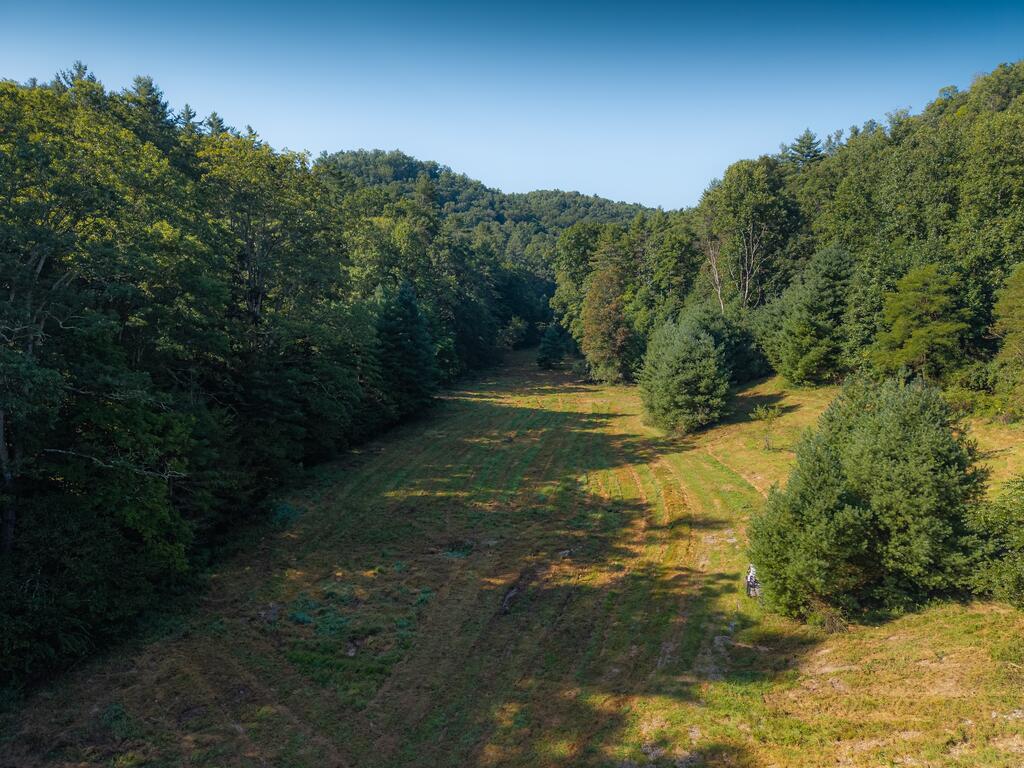 0 Nubbins Ridge Road Camp Creek, WV 25820 - Photo 24 of 24 Gallery Image 24