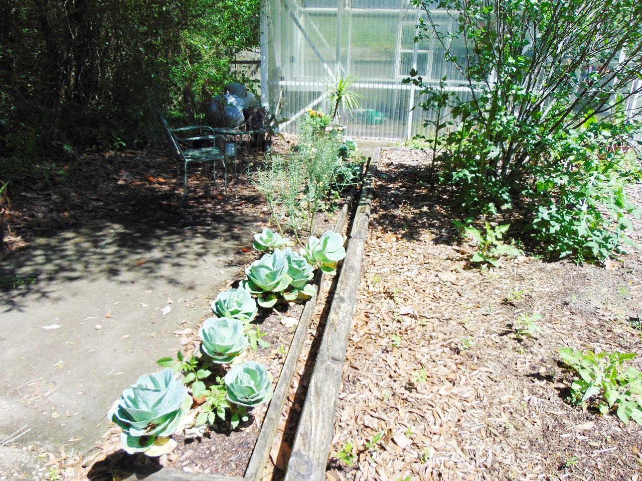 493 North Norwood Road DeFuniak Springs, FL 32433 - Photo 31 of 56 Greenhouse Garden Area (1)