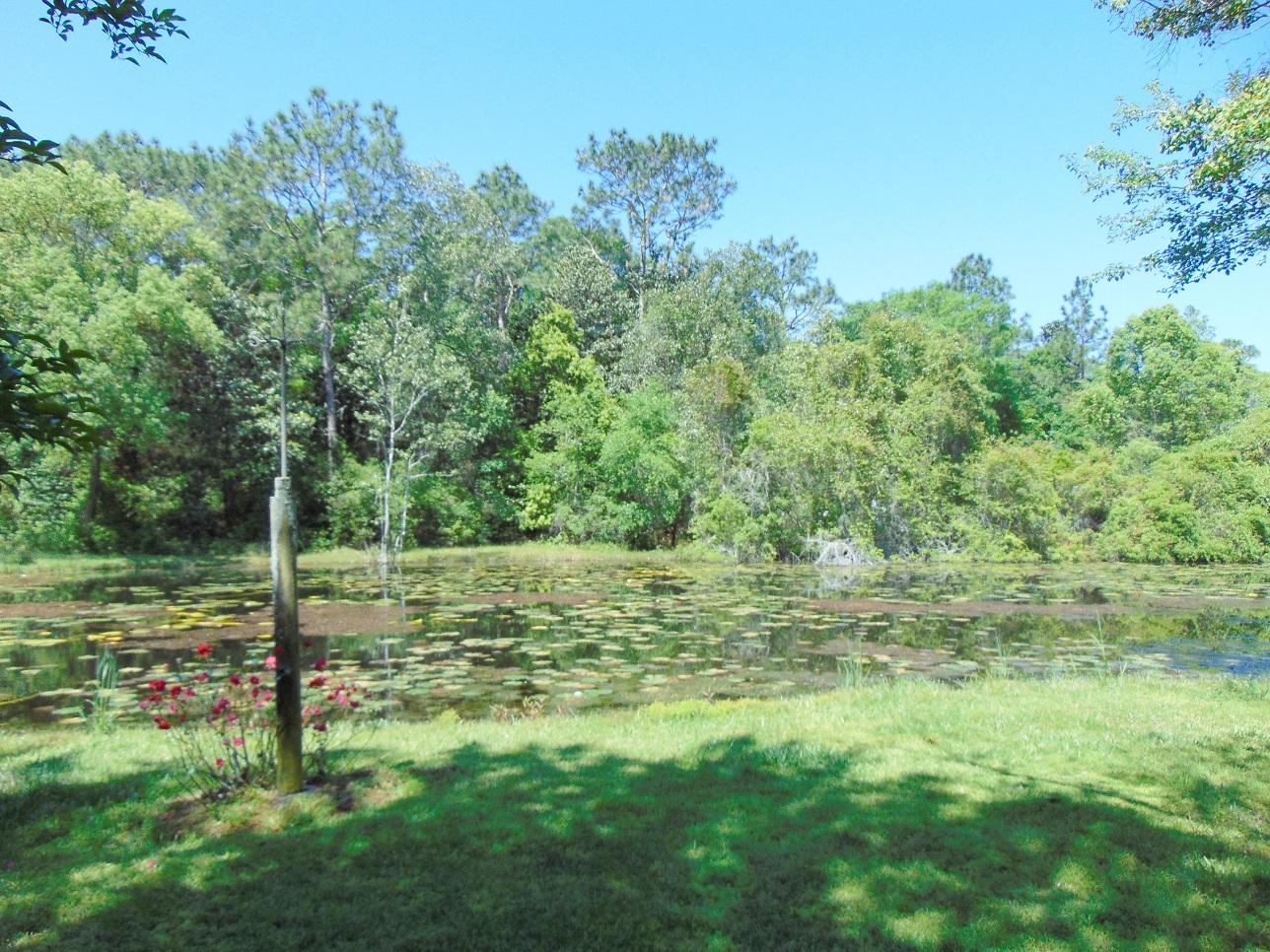 493 North Norwood Road DeFuniak Springs, FL 32433 - Photo 41 of 56 Pond (4)