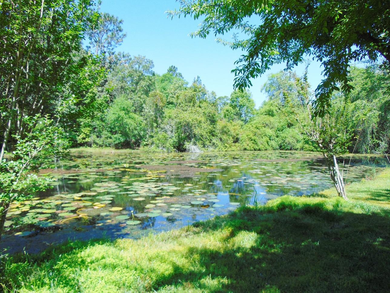 493 North Norwood Road DeFuniak Springs, FL 32433 - Photo 6 of 56 Pond (1)