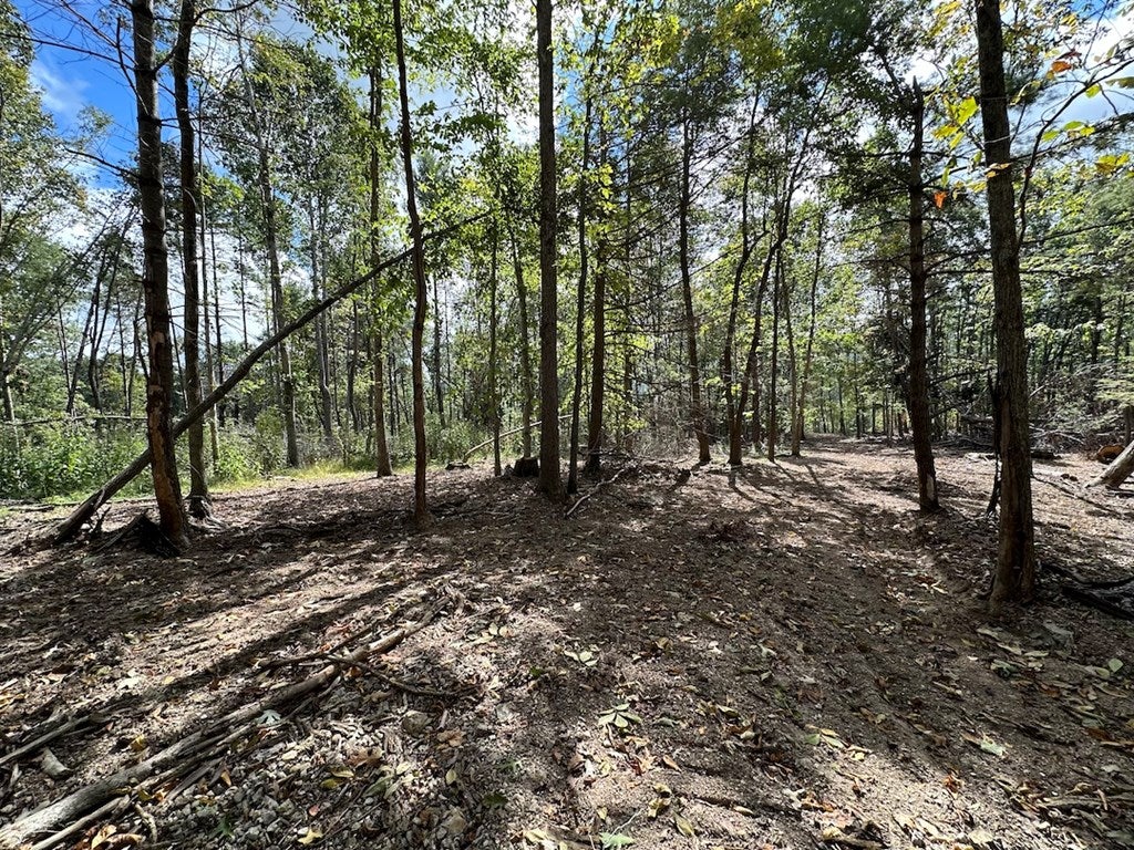 621 Point Pleasant Road, Unit 2 & 4 Bland, VA 24315 - Photo 21 of 44 Gallery Image 21