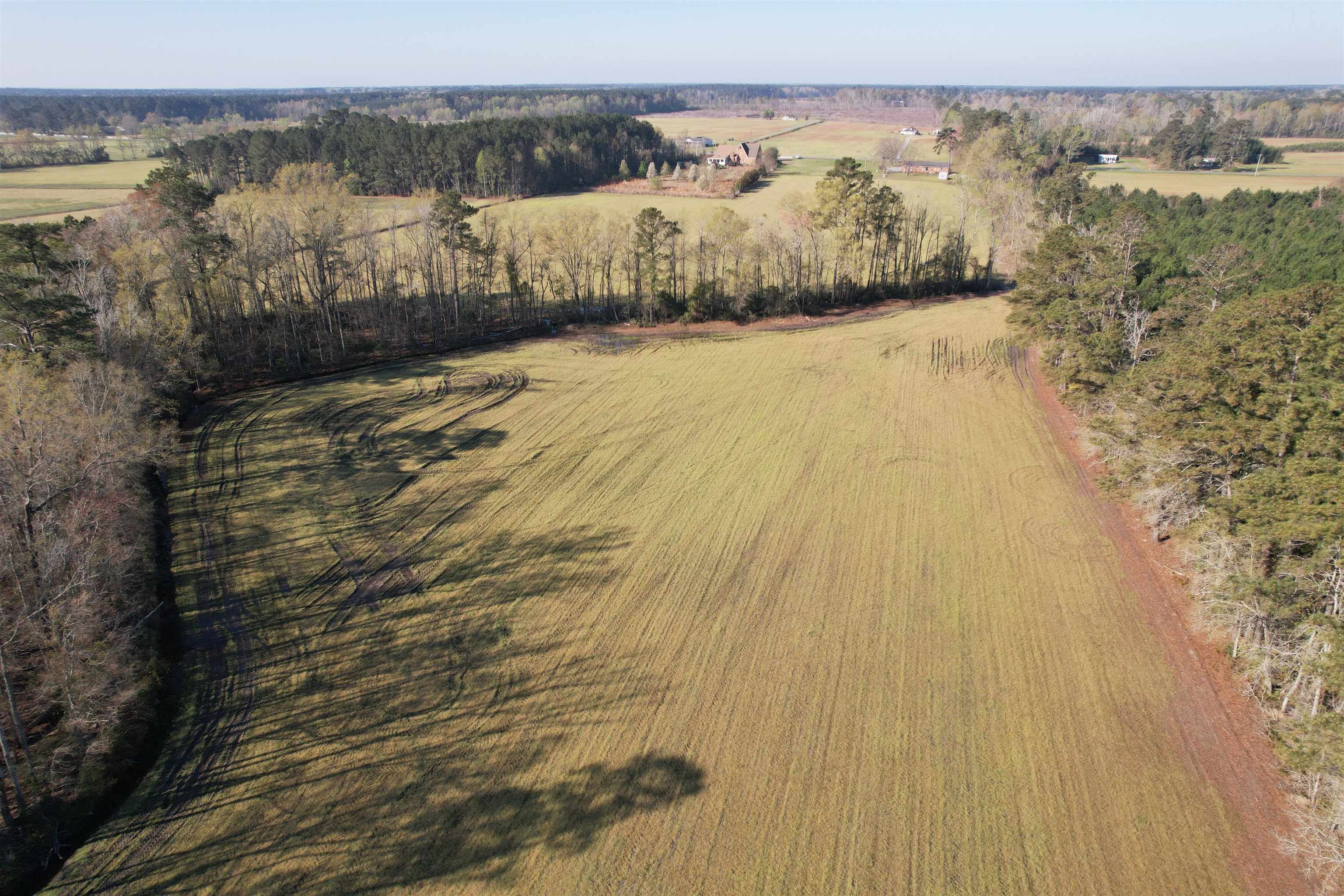 Tbd Green Road Lake City, SC 29560 - Photo 11 of 15