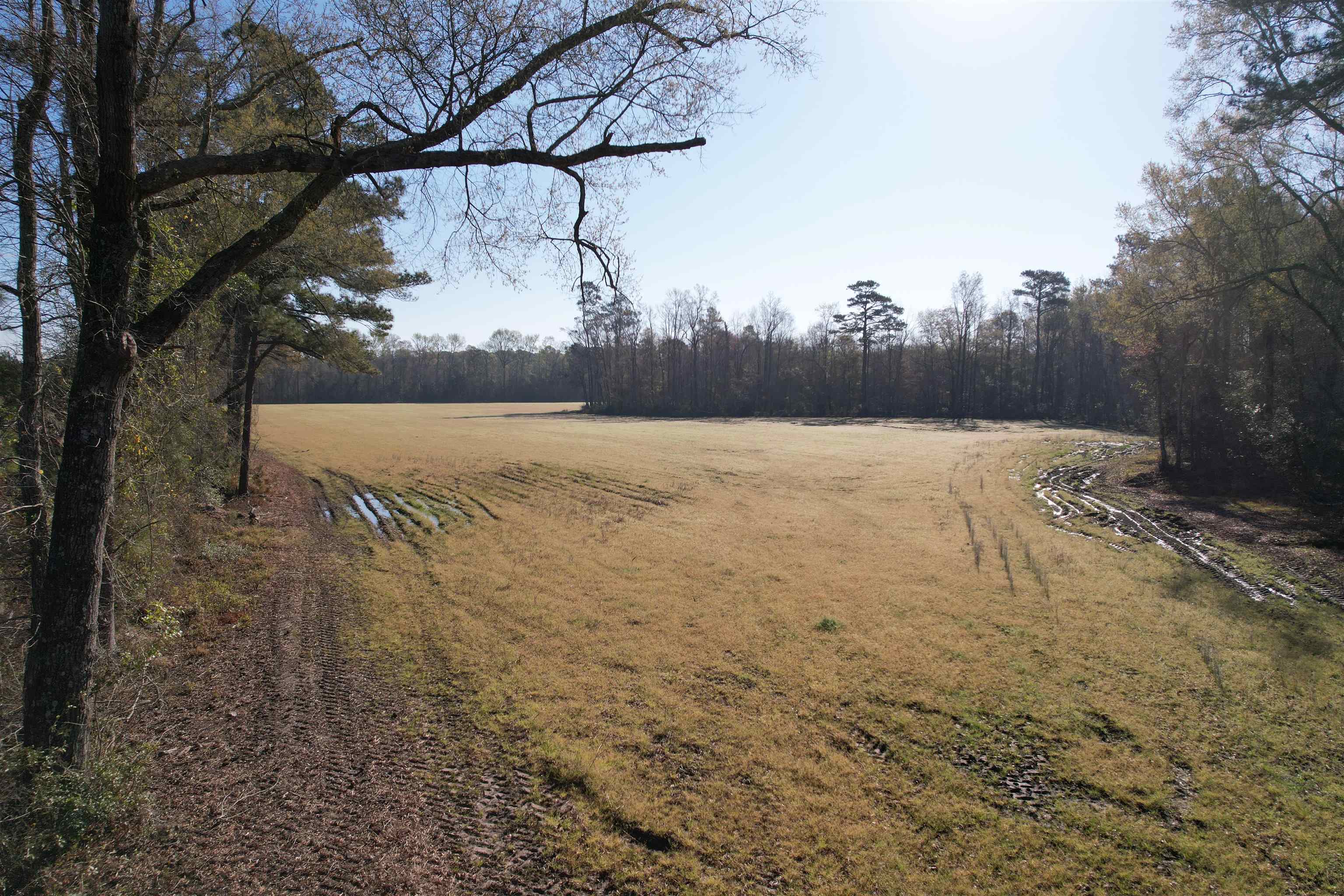 Tbd Green Road Lake City, SC 29560 - Photo 13 of 15