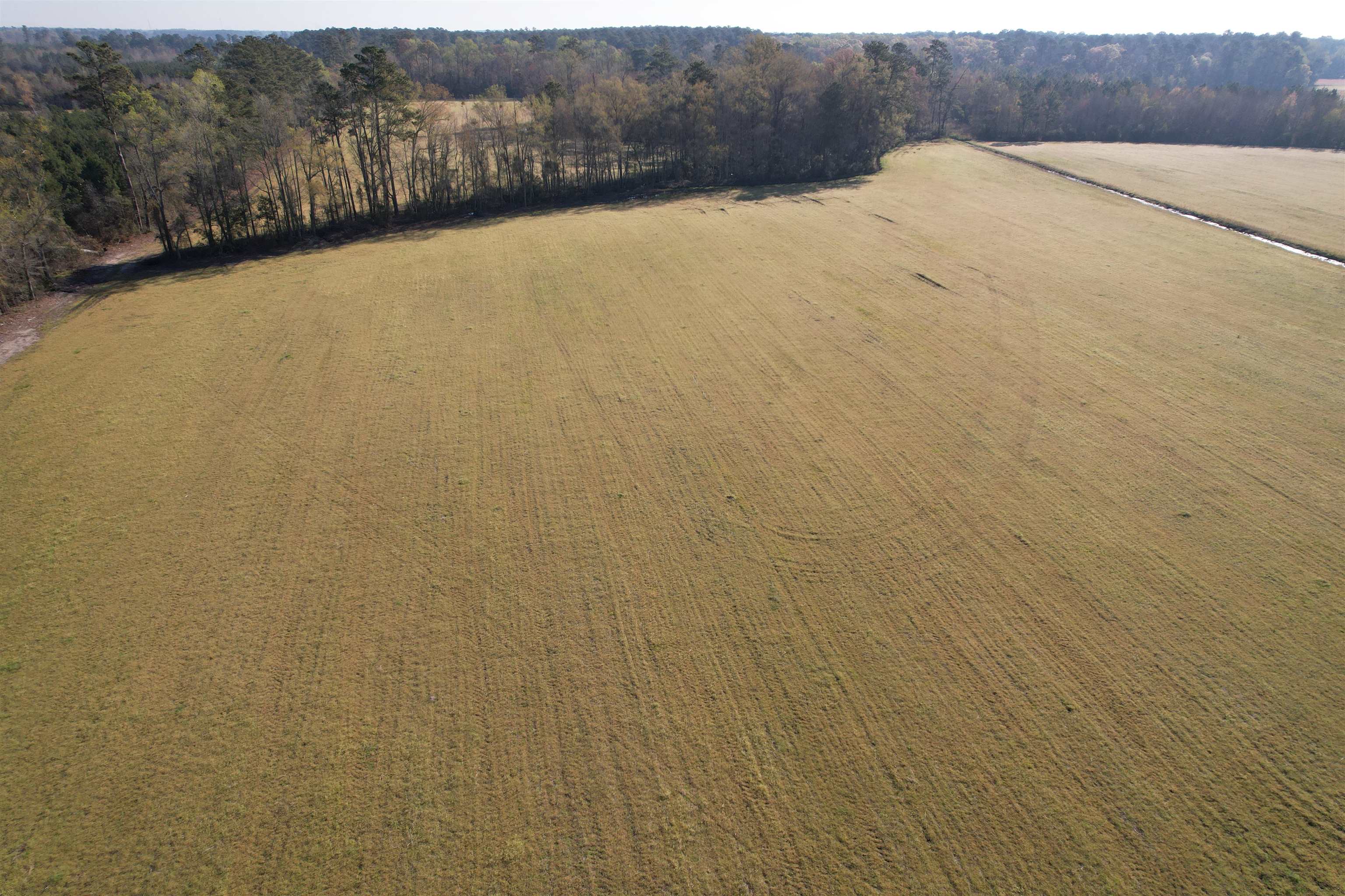 Tbd Green Road Lake City, SC 29560 - Photo 15 of 15