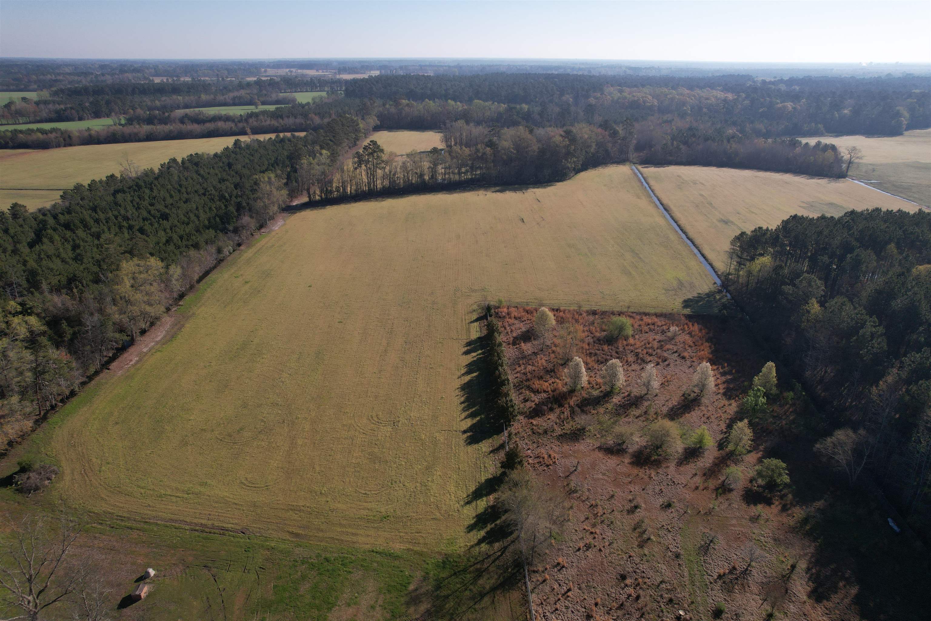Tbd Green Road Lake City, SC 29560 - Photo 2 of 15