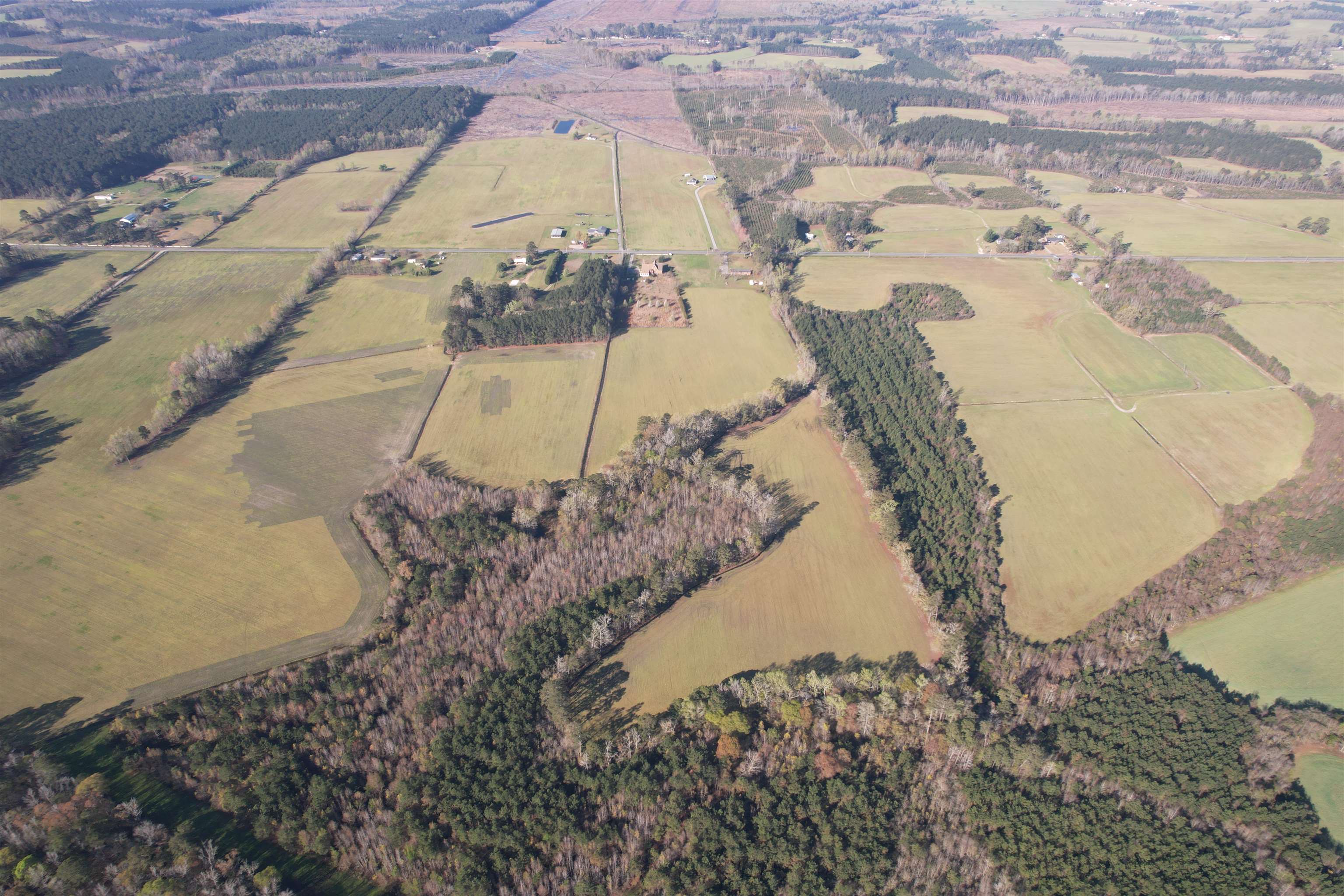 Tbd Green Road Lake City, SC 29560 - Photo 5 of 15