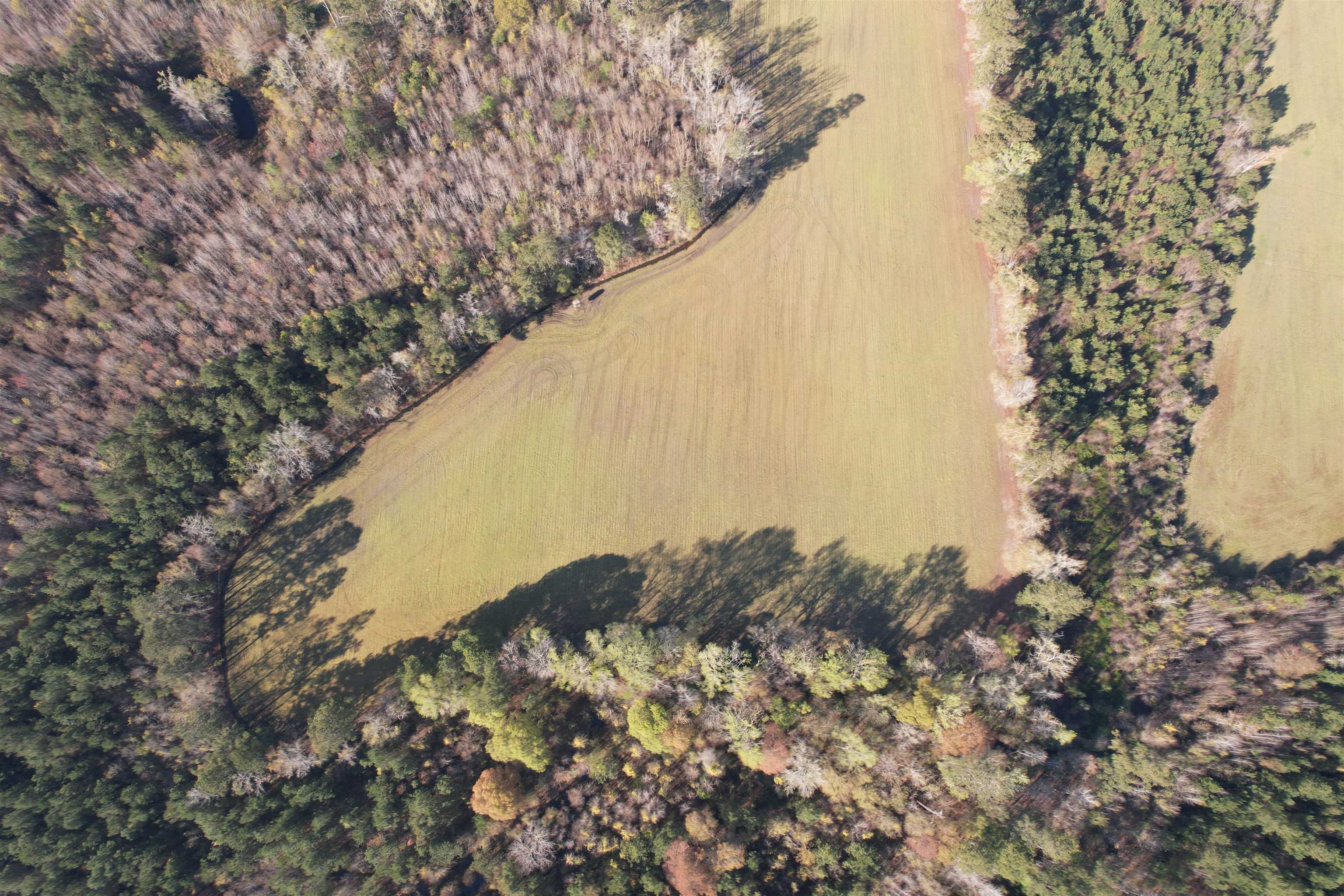 Tbd Green Road Lake City, SC 29560 - Photo 6 of 15