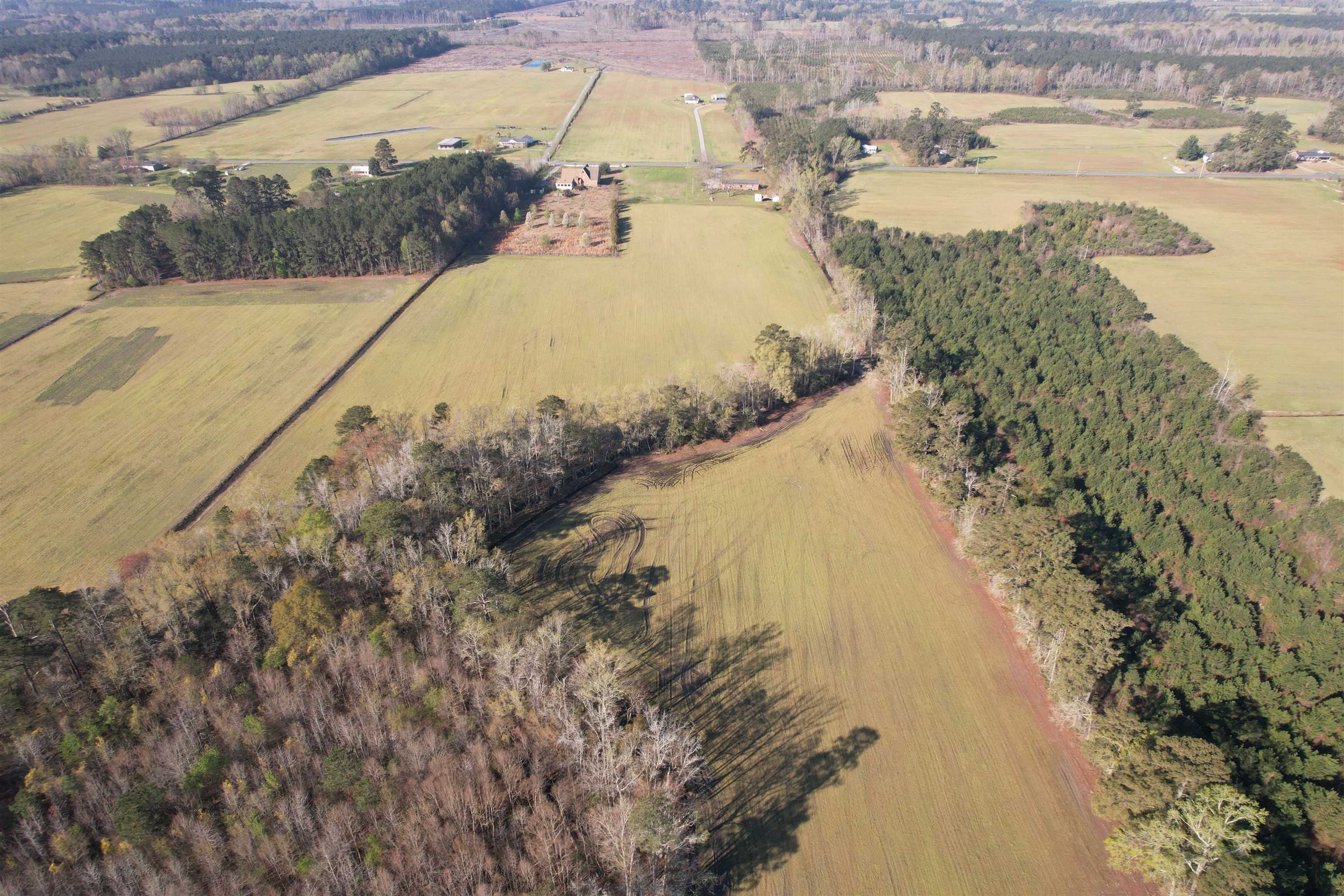 Tbd Green Road Lake City, SC 29560 - Photo 7 of 15