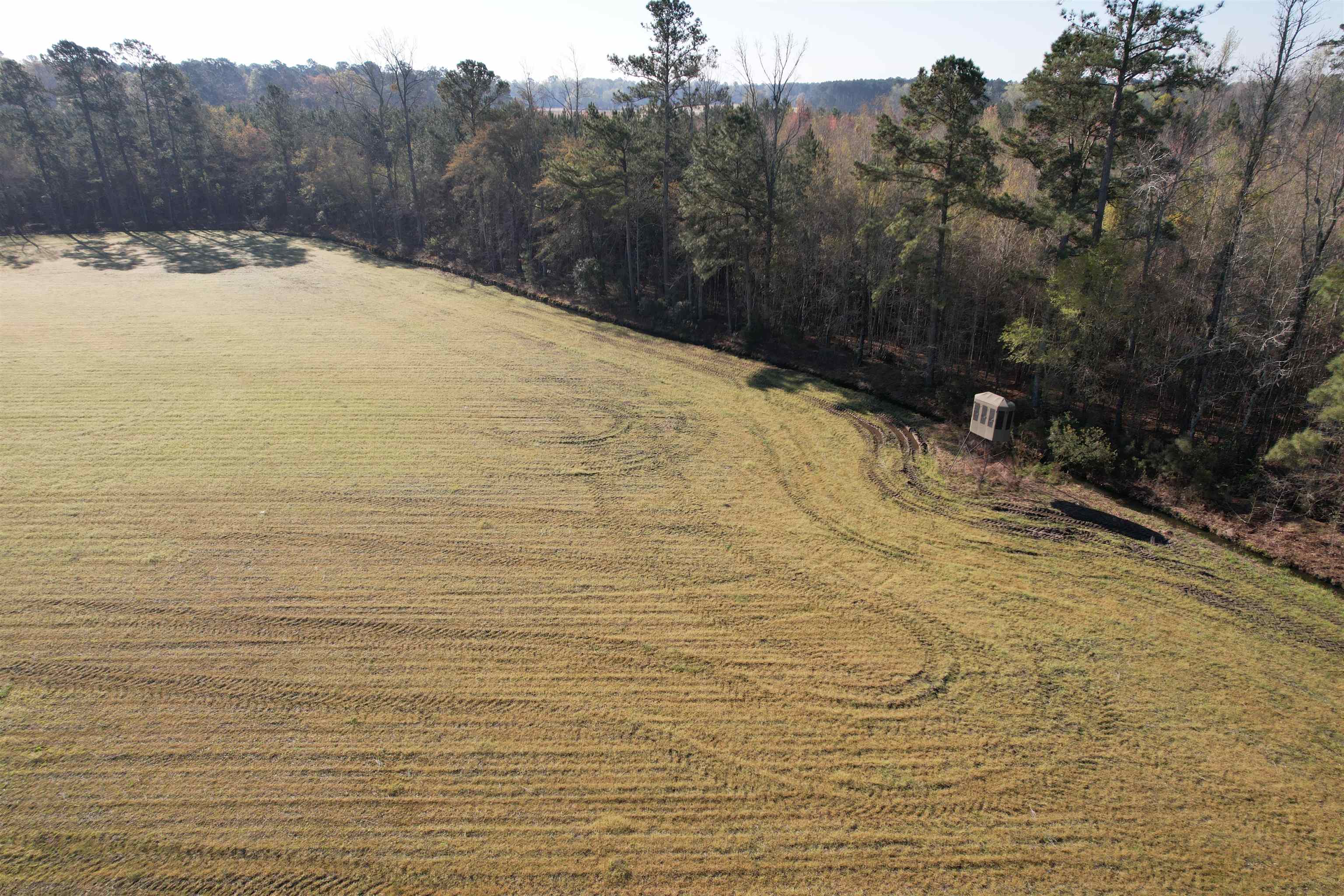 Tbd Green Road Lake City, SC 29560 - Photo 8 of 15