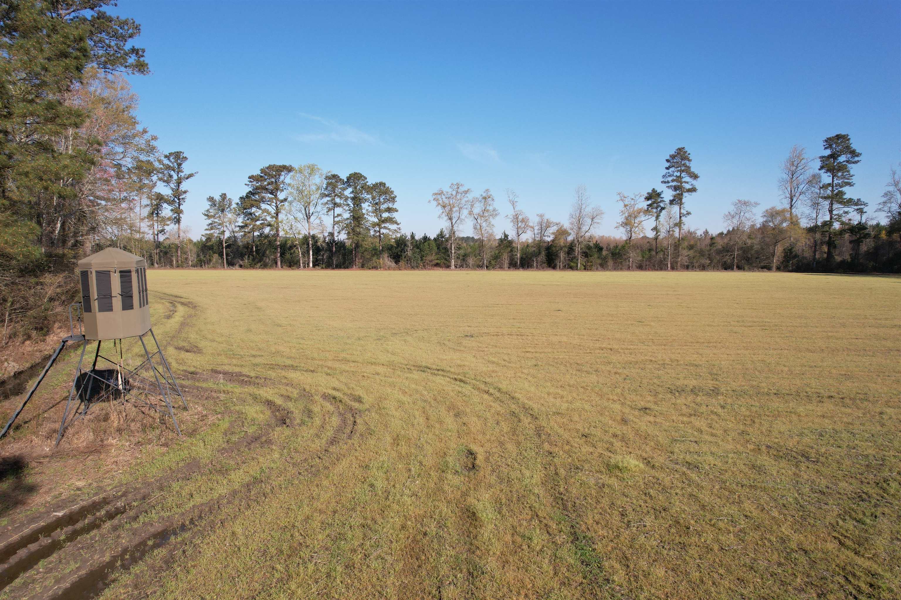 Tbd Green Road Lake City, SC 29560 - Photo 9 of 15