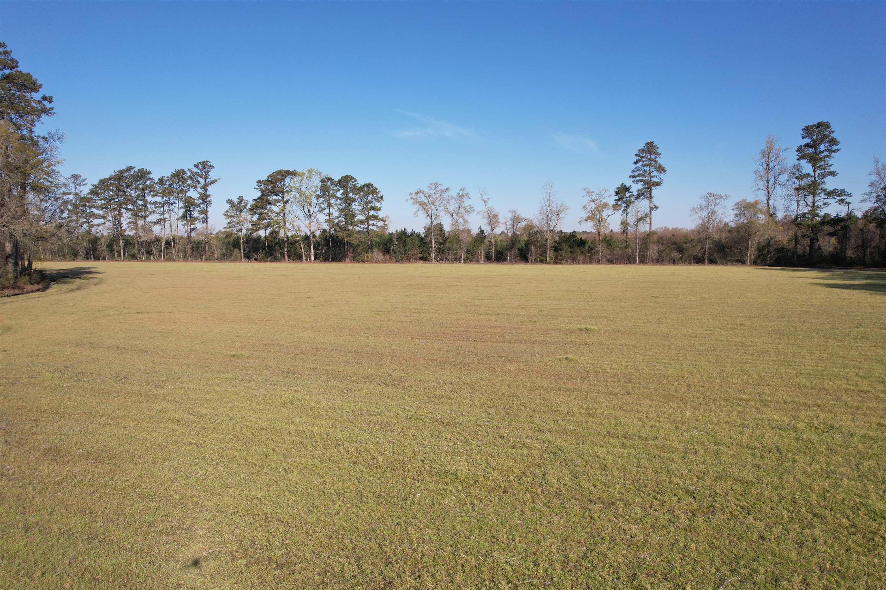 Tbd Green Road Lake City, SC 29560 - Photo 10 of 15