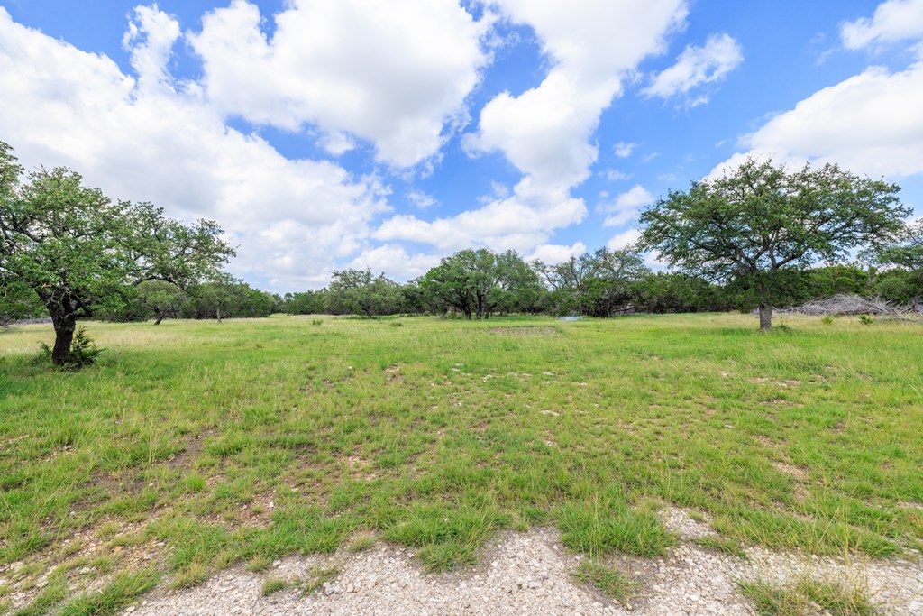 568 Tahoe Ranch Road, Unit 15 Harper, TX 78631 - Photo 3 of 18