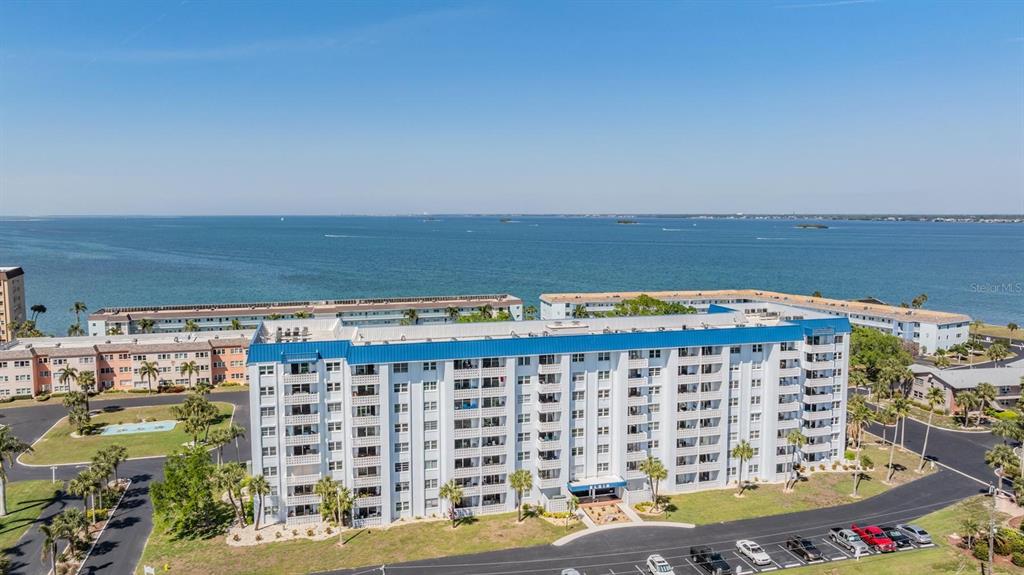 7 Elgin Place, Unit 202 Dunedin, FL 34698 - Photo 34 of 51