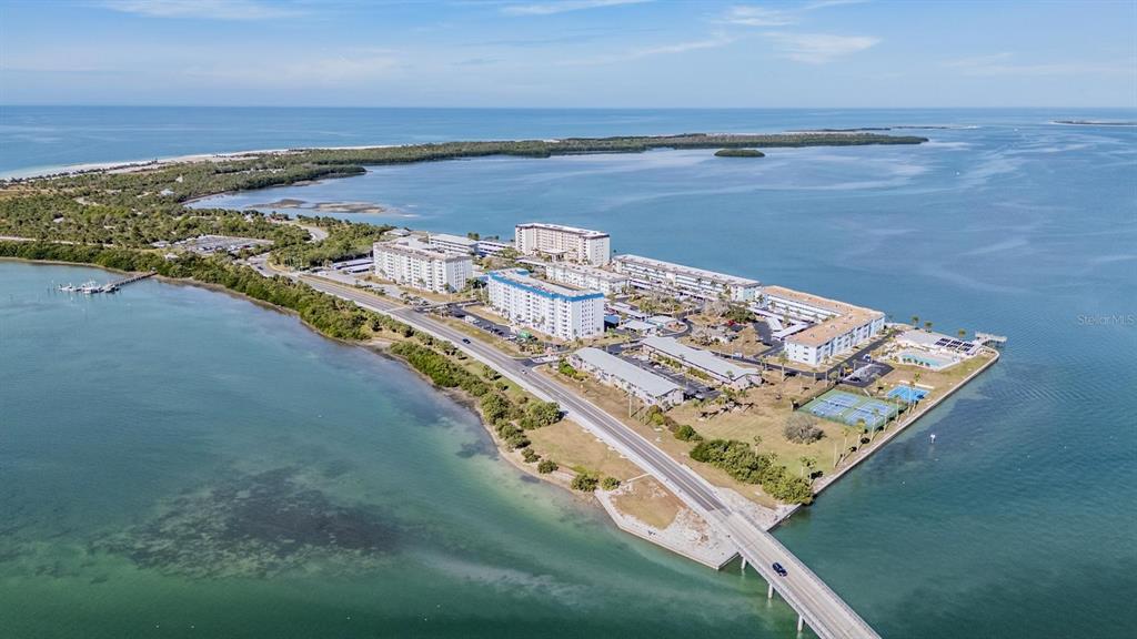 7 Elgin Place, Unit 202 Dunedin, FL 34698 - Photo 36 of 51