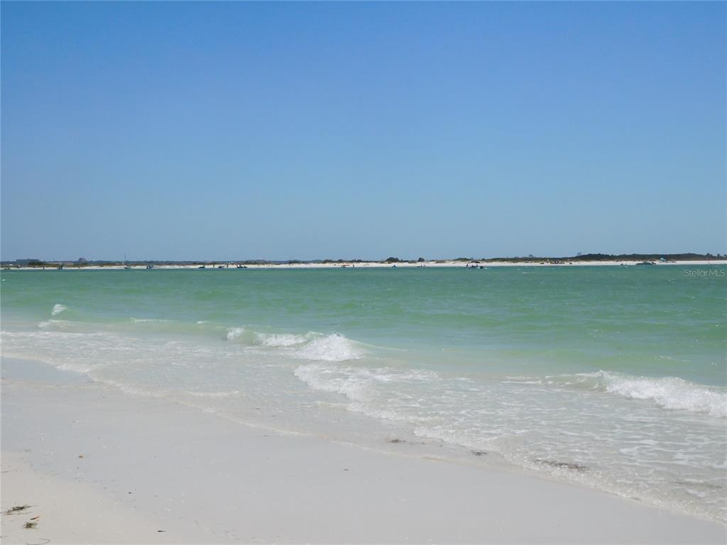 7 Elgin Place, Unit 202 Dunedin, FL 34698 - Photo 39 of 51