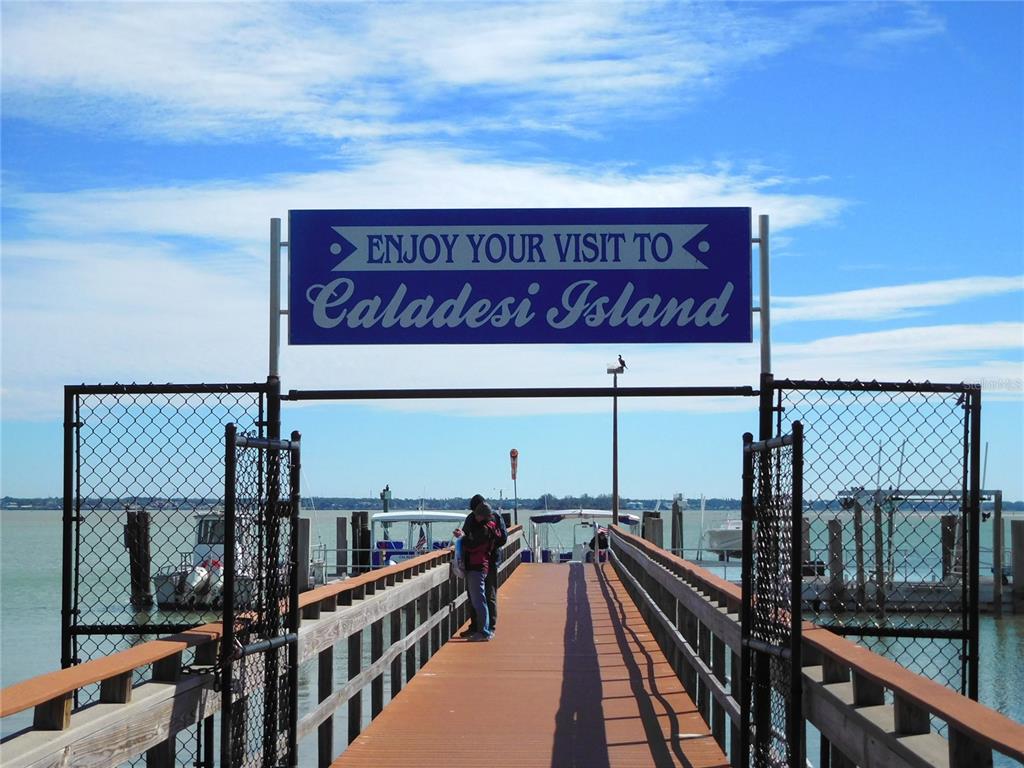 7 Elgin Place, Unit 202 Dunedin, FL 34698 - Photo 41 of 51