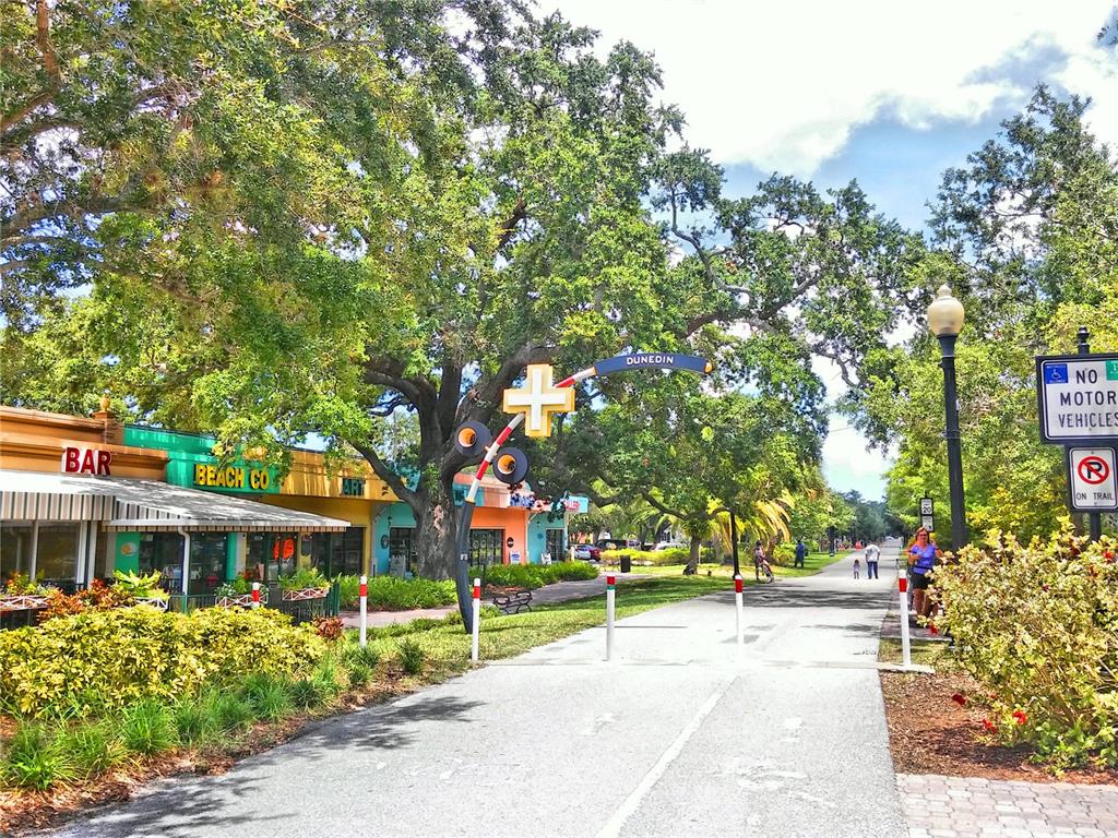 7 Elgin Place, Unit 202 Dunedin, FL 34698 - Photo 50 of 51