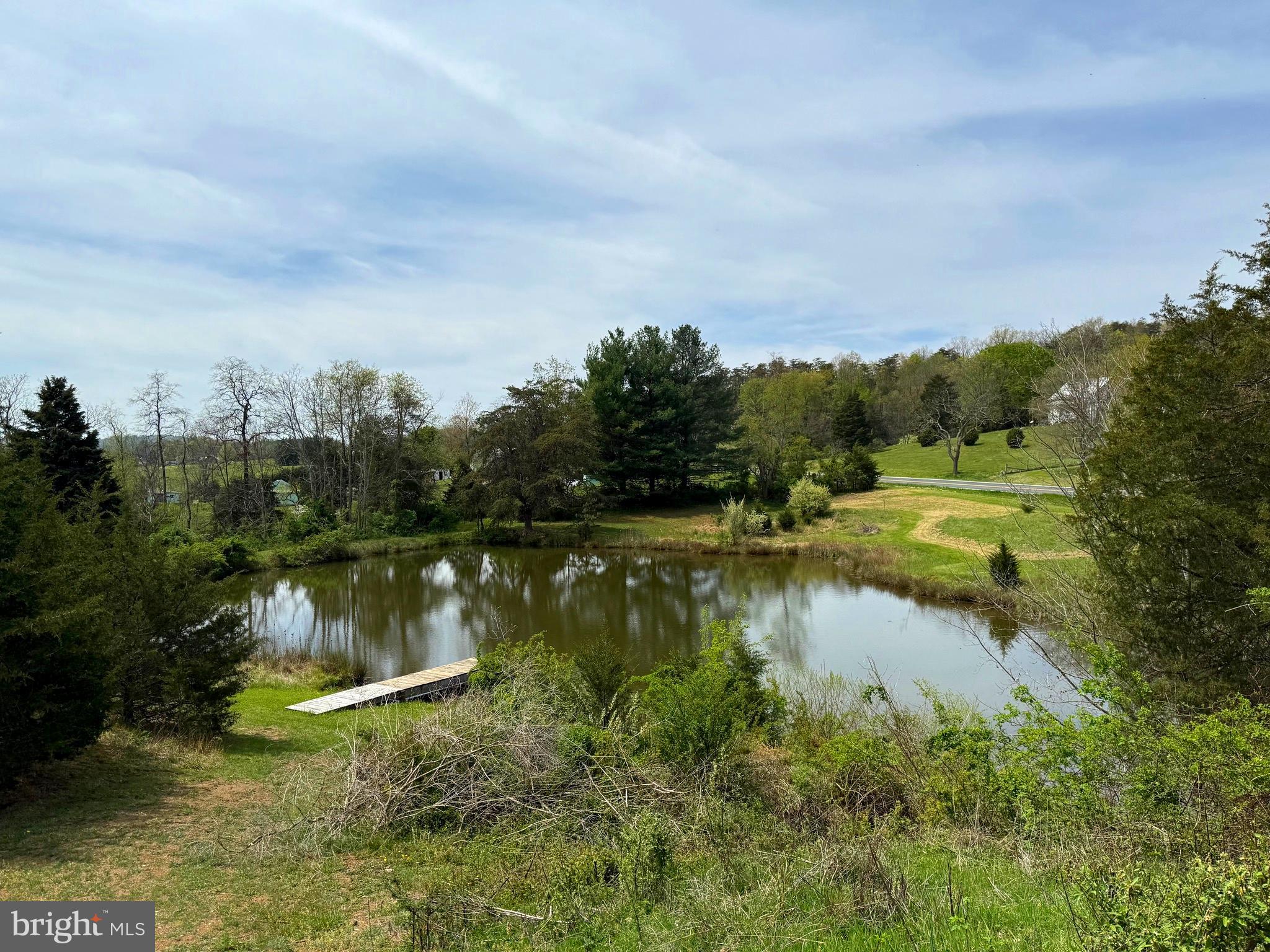 11096 Senedo Road Mount Jackson, VA 22842 - Photo 2 of 12 Large Pond