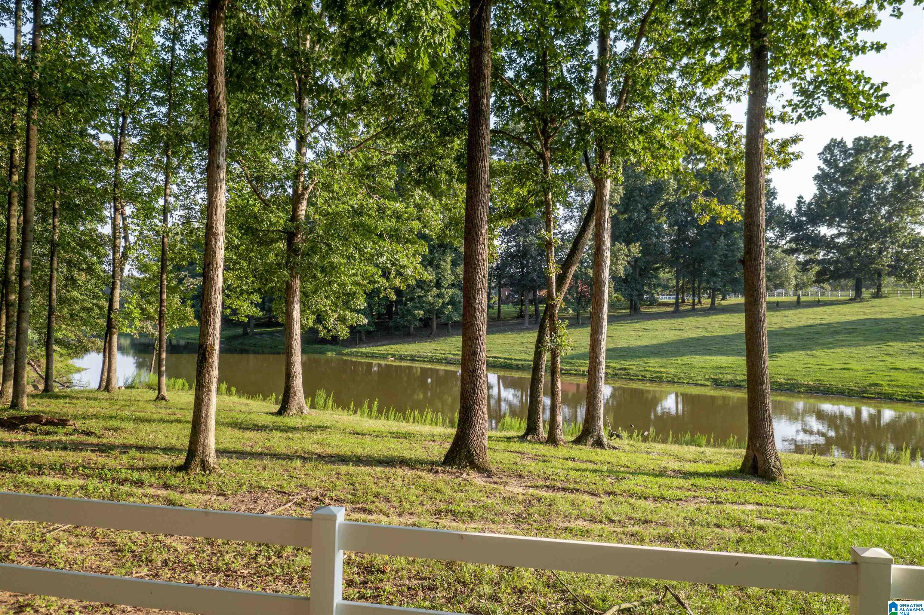 253 County Road 203 Boaz, AL 35957 - Photo 57 of 59